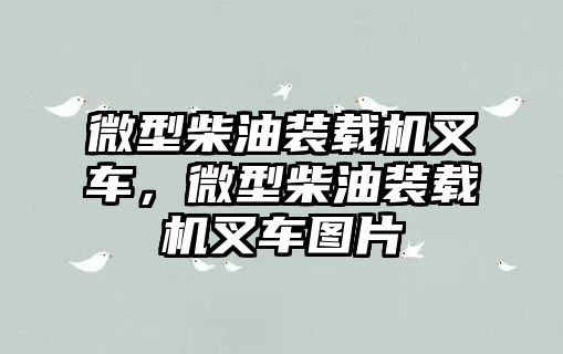 微型柴油裝載機(jī)叉車，微型柴油裝載機(jī)叉車圖片