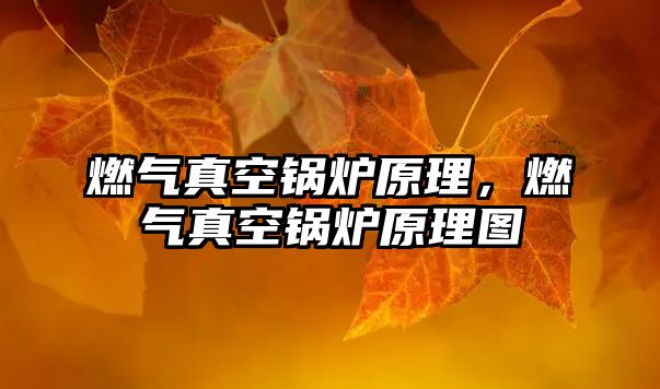 燃?xì)庹婵斟仩t原理，燃?xì)庹婵斟仩t原理圖