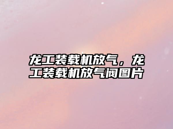 龍工裝載機(jī)放氣，龍工裝載機(jī)放氣閥圖片