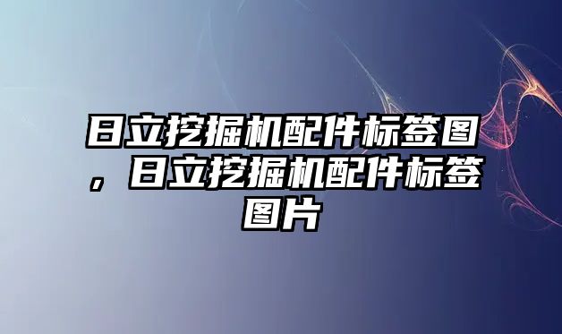 日立挖掘機(jī)配件標(biāo)簽圖，日立挖掘機(jī)配件標(biāo)簽圖片