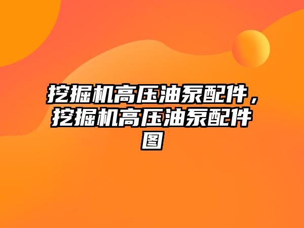 挖掘機(jī)高壓油泵配件，挖掘機(jī)高壓油泵配件圖