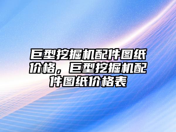 巨型挖掘機配件圖紙價格，巨型挖掘機配件圖紙價格表