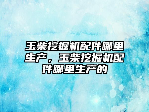 玉柴挖掘機(jī)配件哪里生產(chǎn)，玉柴挖掘機(jī)配件哪里生產(chǎn)的
