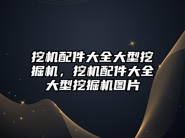挖機(jī)配件大全大型挖掘機(jī)，挖機(jī)配件大全大型挖掘機(jī)圖片