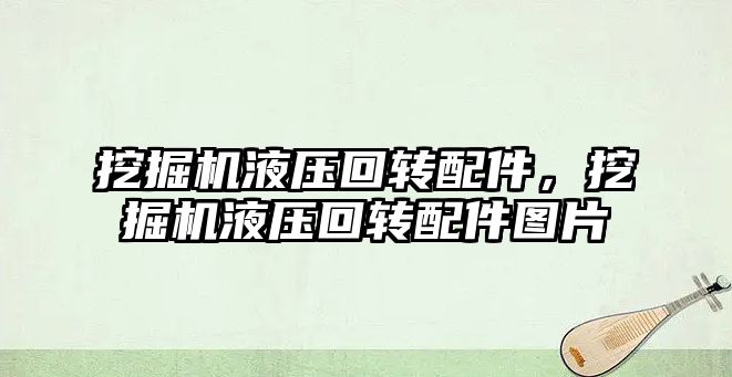 挖掘機液壓回轉(zhuǎn)配件，挖掘機液壓回轉(zhuǎn)配件圖片