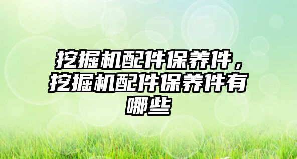挖掘機(jī)配件保養(yǎng)件，挖掘機(jī)配件保養(yǎng)件有哪些