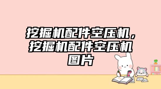 挖掘機(jī)配件空壓機(jī)，挖掘機(jī)配件空壓機(jī)圖片