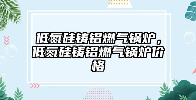低氮硅鑄鋁燃氣鍋爐，低氮硅鑄鋁燃氣鍋爐價格