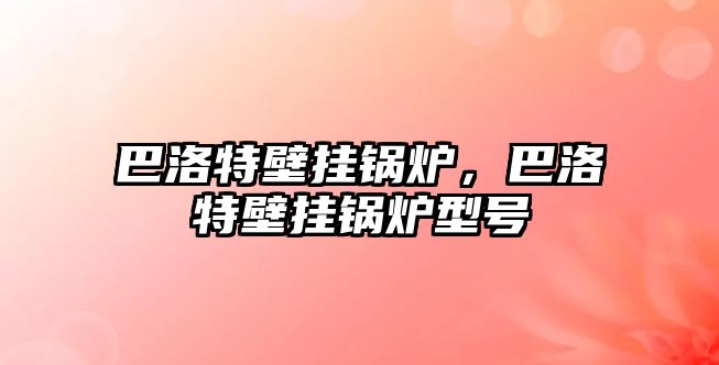 巴洛特壁掛鍋爐，巴洛特壁掛鍋爐型號