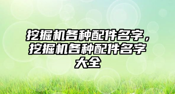 挖掘機(jī)各種配件名字，挖掘機(jī)各種配件名字大全