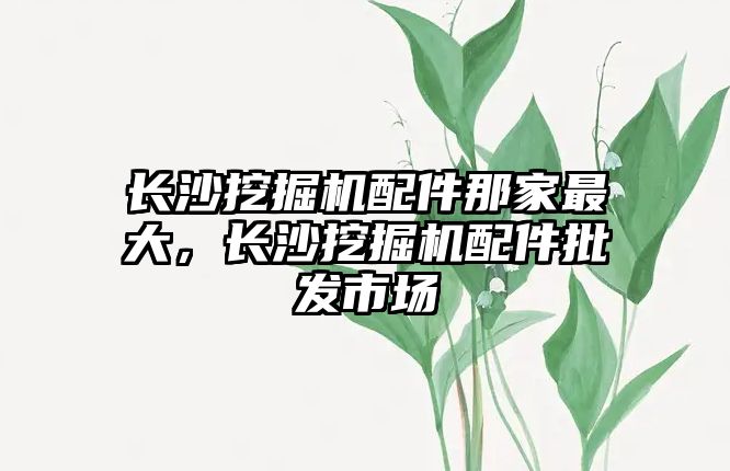 長沙挖掘機配件那家最大，長沙挖掘機配件批發(fā)市場