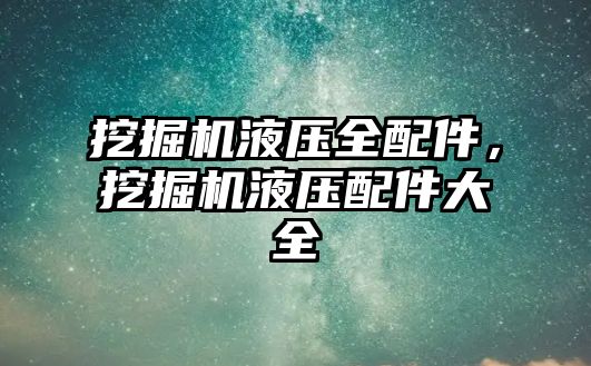 挖掘機液壓全配件，挖掘機液壓配件大全