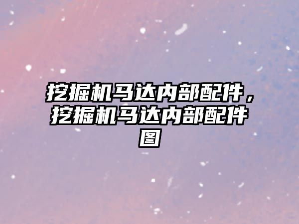 挖掘機馬達內(nèi)部配件，挖掘機馬達內(nèi)部配件圖