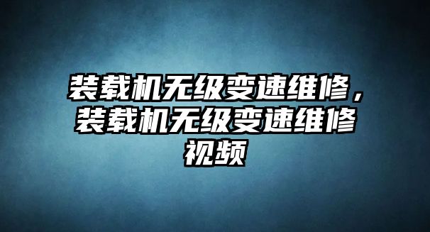 裝載機無級變速維修，裝載機無級變速維修視頻