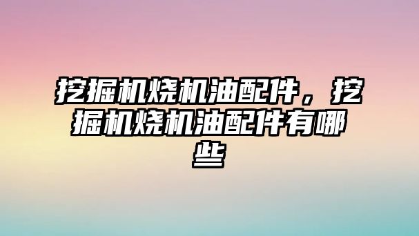 挖掘機(jī)燒機(jī)油配件，挖掘機(jī)燒機(jī)油配件有哪些