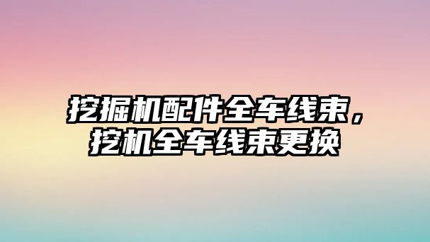 挖掘機(jī)配件全車(chē)線束，挖機(jī)全車(chē)線束更換