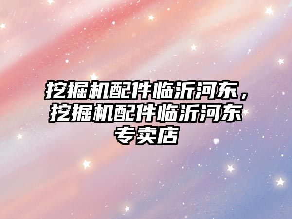 挖掘機配件臨沂河東，挖掘機配件臨沂河東專賣店