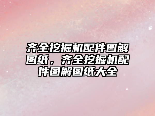 齊全挖掘機(jī)配件圖解圖紙，齊全挖掘機(jī)配件圖解圖紙大全