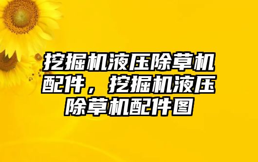 挖掘機(jī)液壓除草機(jī)配件，挖掘機(jī)液壓除草機(jī)配件圖