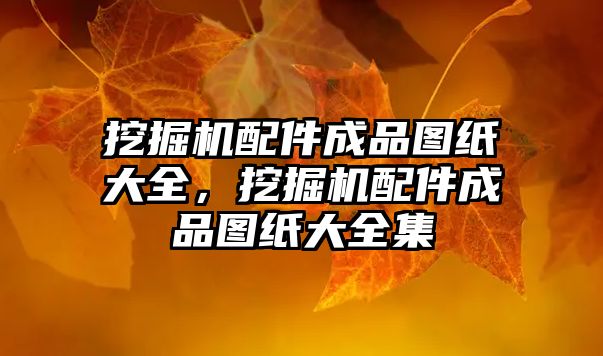 挖掘機(jī)配件成品圖紙大全，挖掘機(jī)配件成品圖紙大全集