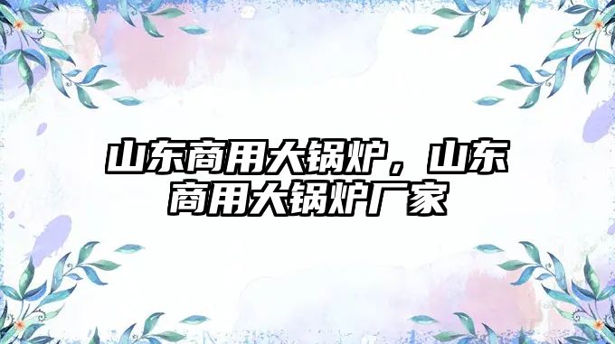 山東商用大鍋爐，山東商用大鍋爐廠家