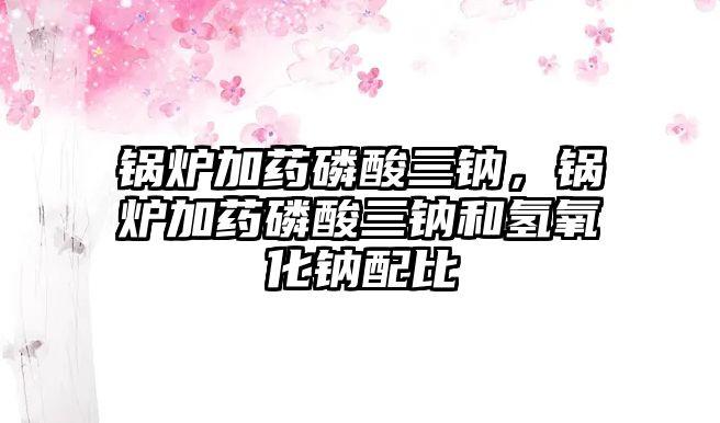 鍋爐加藥磷酸三鈉，鍋爐加藥磷酸三鈉和氫氧化鈉配比