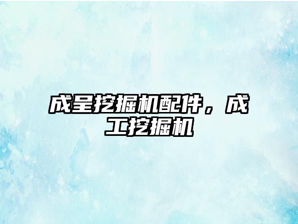 成呈挖掘機(jī)配件，成工挖掘機(jī)