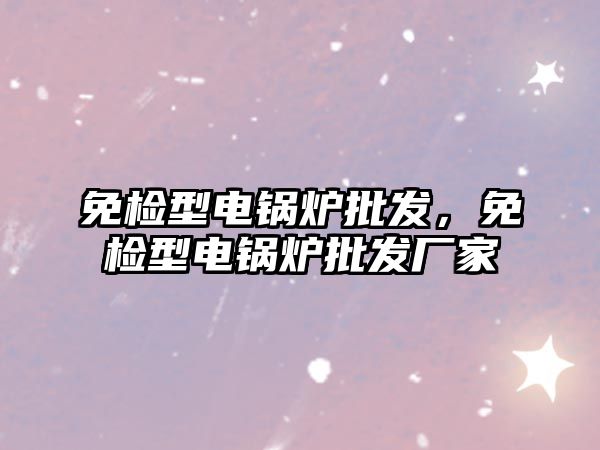免檢型電鍋爐批發(fā)，免檢型電鍋爐批發(fā)廠家