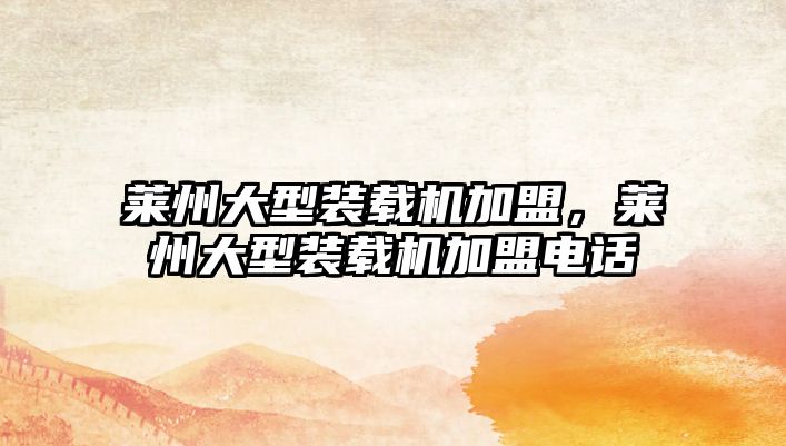 萊州大型裝載機加盟，萊州大型裝載機加盟電話