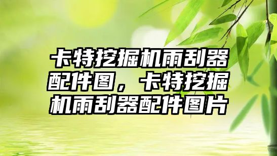 卡特挖掘機雨刮器配件圖，卡特挖掘機雨刮器配件圖片