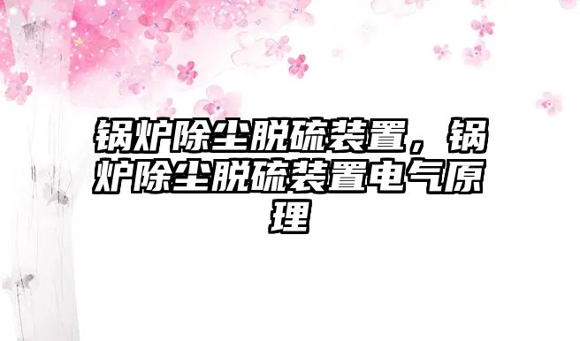 鍋爐除塵脫硫裝置，鍋爐除塵脫硫裝置電氣原理