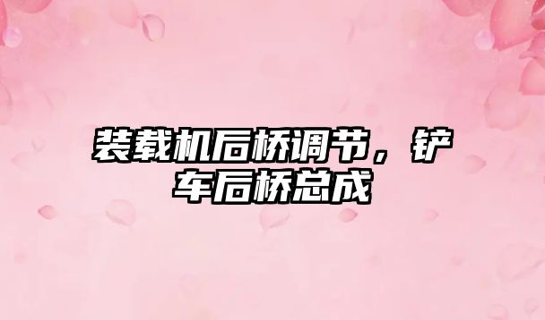 裝載機后橋調(diào)節(jié)，鏟車后橋總成