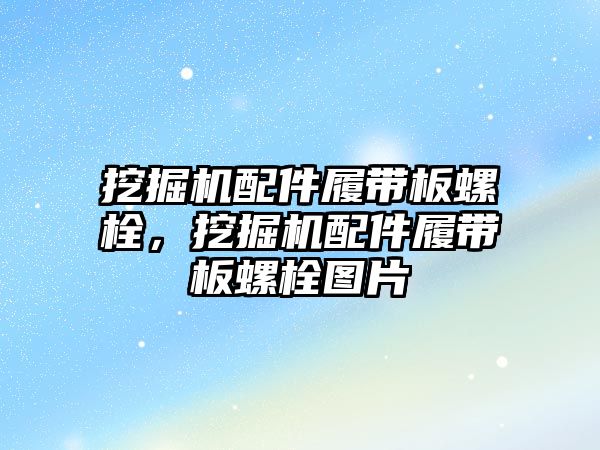 挖掘機配件履帶板螺栓，挖掘機配件履帶板螺栓圖片