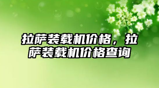 拉薩裝載機價格，拉薩裝載機價格查詢