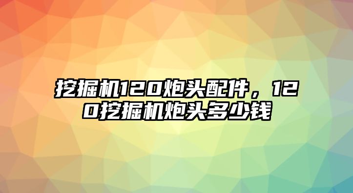 挖掘機120炮頭配件，120挖掘機炮頭多少錢