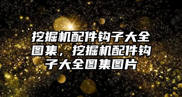 挖掘機(jī)配件鉤子大全圖集，挖掘機(jī)配件鉤子大全圖集圖片