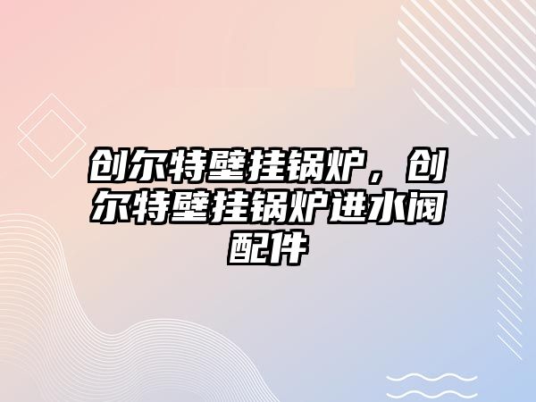 創(chuàng)爾特壁掛鍋爐，創(chuàng)爾特壁掛鍋爐進水閥配件