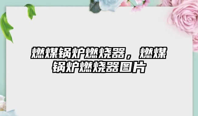 燃煤鍋爐燃燒器，燃煤鍋爐燃燒器圖片