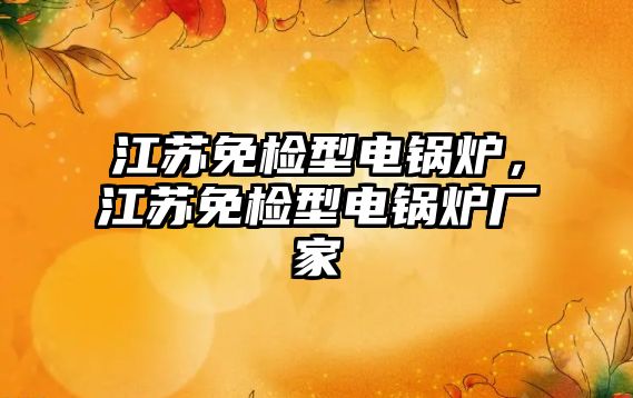 江蘇免檢型電鍋爐，江蘇免檢型電鍋爐廠家