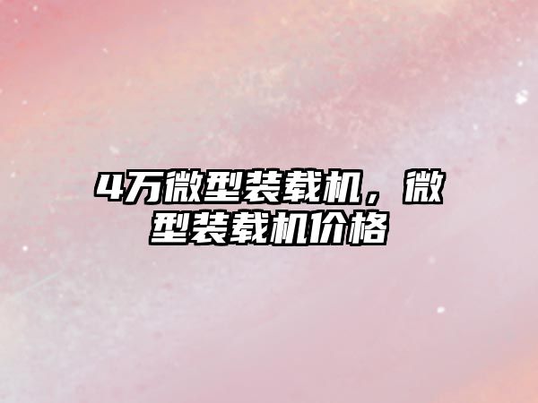 4萬微型裝載機，微型裝載機價格