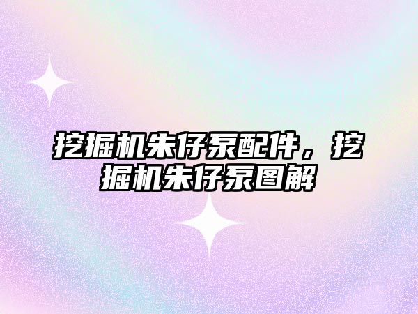 挖掘機(jī)朱仔泵配件，挖掘機(jī)朱仔泵圖解