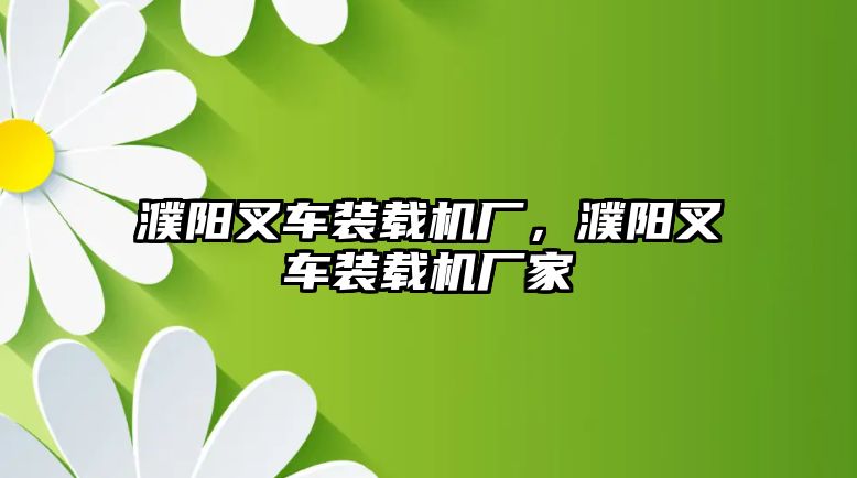 濮陽叉車裝載機廠，濮陽叉車裝載機廠家