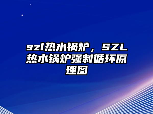 szl熱水鍋爐，SZL熱水鍋爐強(qiáng)制循環(huán)原理圖