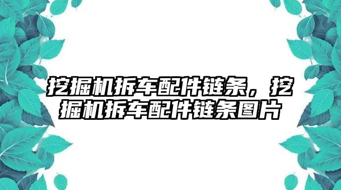 挖掘機拆車配件鏈條，挖掘機拆車配件鏈條圖片