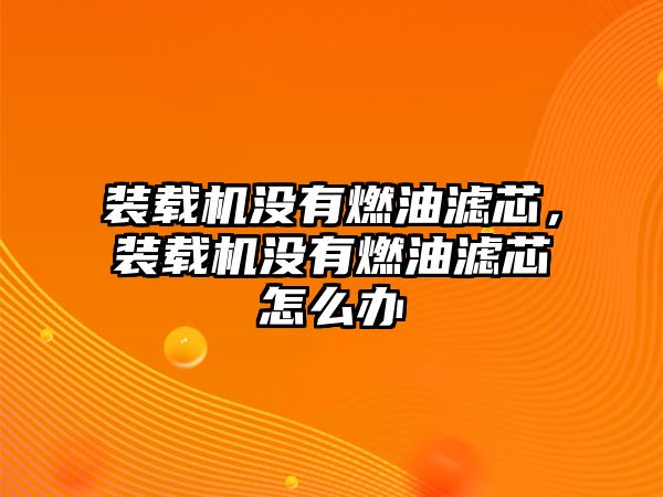 裝載機(jī)沒(méi)有燃油濾芯，裝載機(jī)沒(méi)有燃油濾芯怎么辦