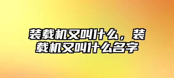 裝載機又叫什么，裝載機又叫什么名字