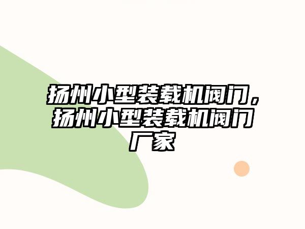 揚(yáng)州小型裝載機(jī)閥門，揚(yáng)州小型裝載機(jī)閥門廠家