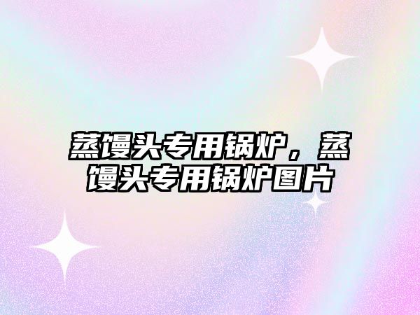 蒸饅頭專用鍋爐，蒸饅頭專用鍋爐圖片