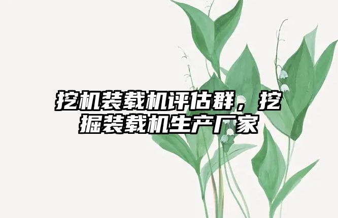 挖機裝載機評估群，挖掘裝載機生產(chǎn)廠家
