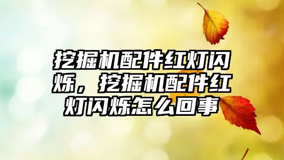 挖掘機配件紅燈閃爍，挖掘機配件紅燈閃爍怎么回事
